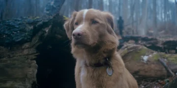 “Good Boy” Trailer: A Horror Flick Seen Solely Through a Dog’s Eyes