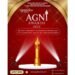 Agni Awards 2025 – Celebrating Debut Talent in Movies, TV & OTT