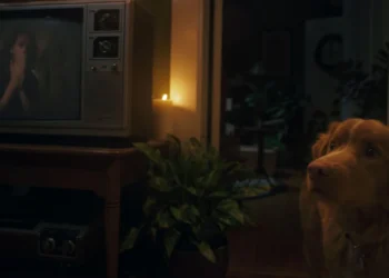"Good Boy" review