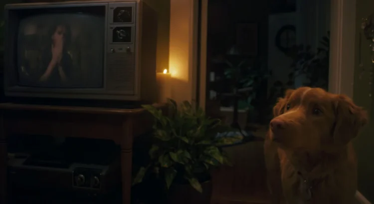 "Good Boy" review