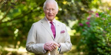 "Finding Harmony" Review: A Powerful Call for Earth’s Future