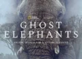 Werner Herzog "Ghost Elephants" documentary