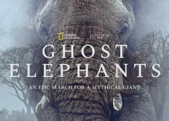 Werner Herzog "Ghost Elephants" documentary