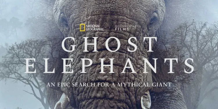 Werner Herzog "Ghost Elephants" documentary