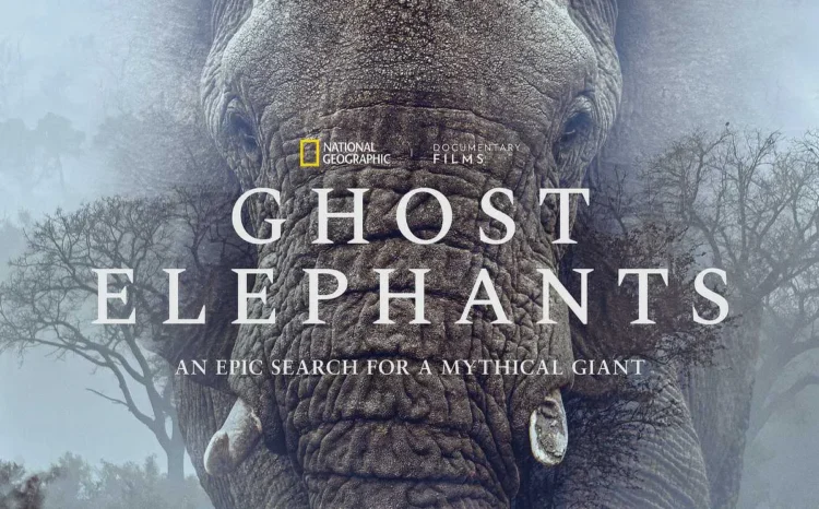 Werner Herzog "Ghost Elephants" documentary