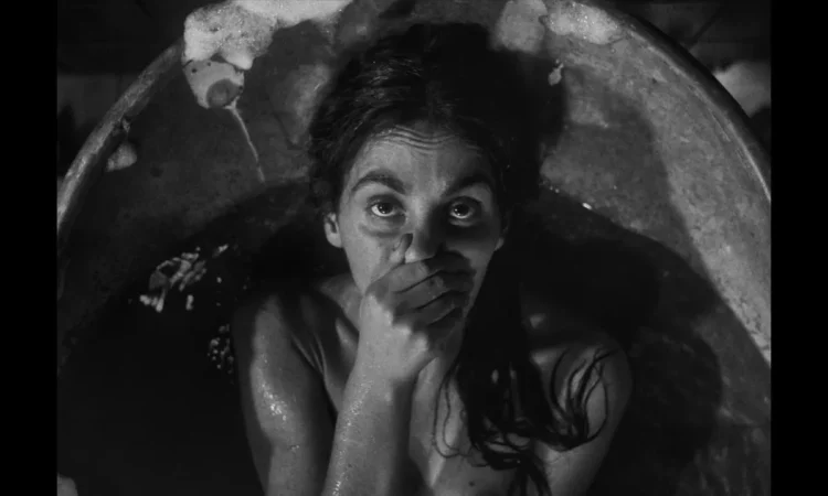 The Robert Awards 2026 Highlights