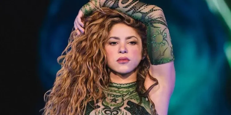 Shakira India concert