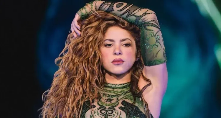 Shakira India concert