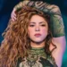 Shakira India concert