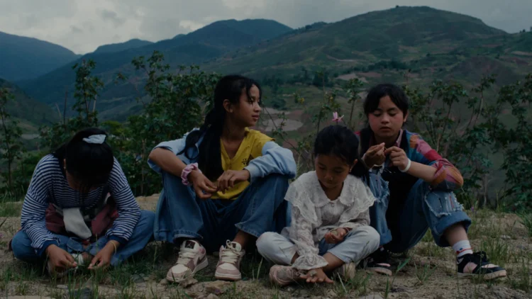 CPH:DOX 2026 award winners