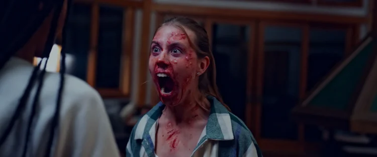 Watch "Noseeums" online