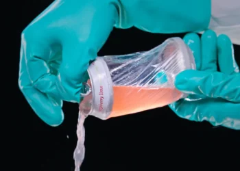 Microplastics health effects