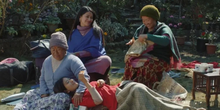 "Shape of Momo" review