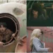 Underrated Prime Video Shows