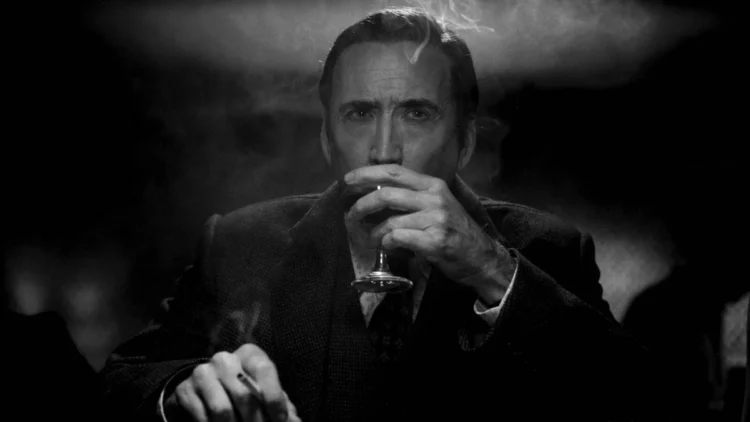 "Spider Noir" Review