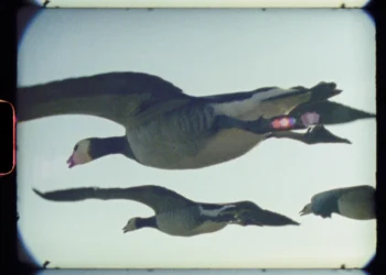 "Super Nature" documentary film
