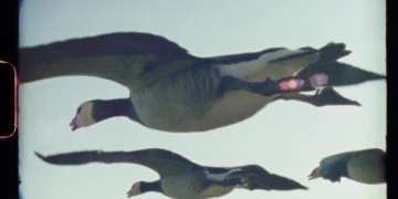 "Super Nature" documentary film