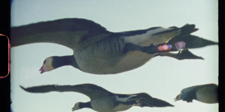 "Super Nature" documentary film