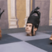 Lexx's Hidden Chess Masterpiece