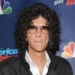 "The Howard Stern Show" HBO Max