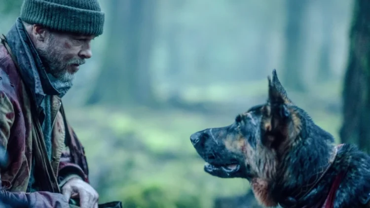 "Heart of the Beast" Review Brad Pitt Survival Thriller