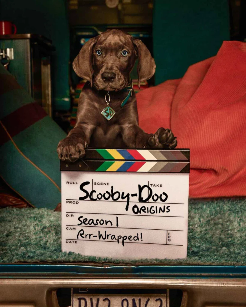 "Scooby-Doo: Origins" Netflix Series